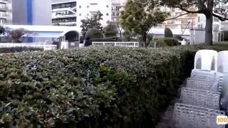 《美丽姑娘视频在线观看免费高清版》高清不卡在线观看...